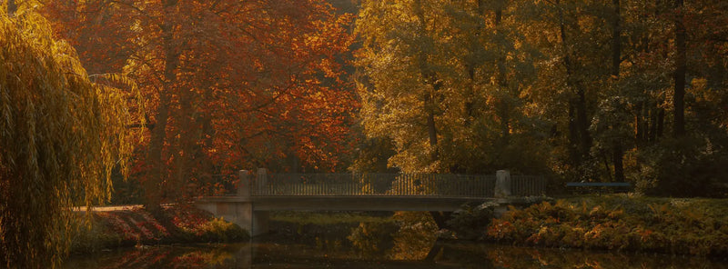Herbstspaziergang – was er wirklich mit dir macht