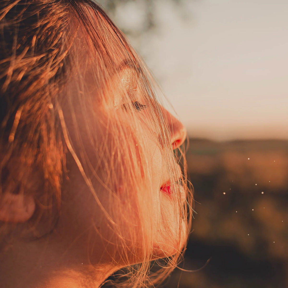 Golden Hour N°1